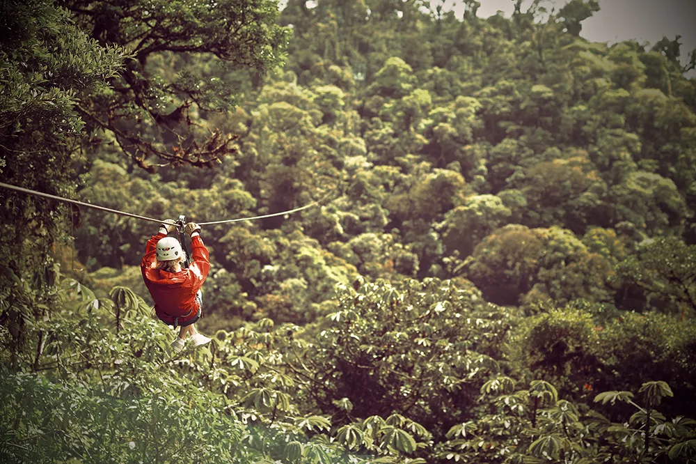 Canopy Tour 2