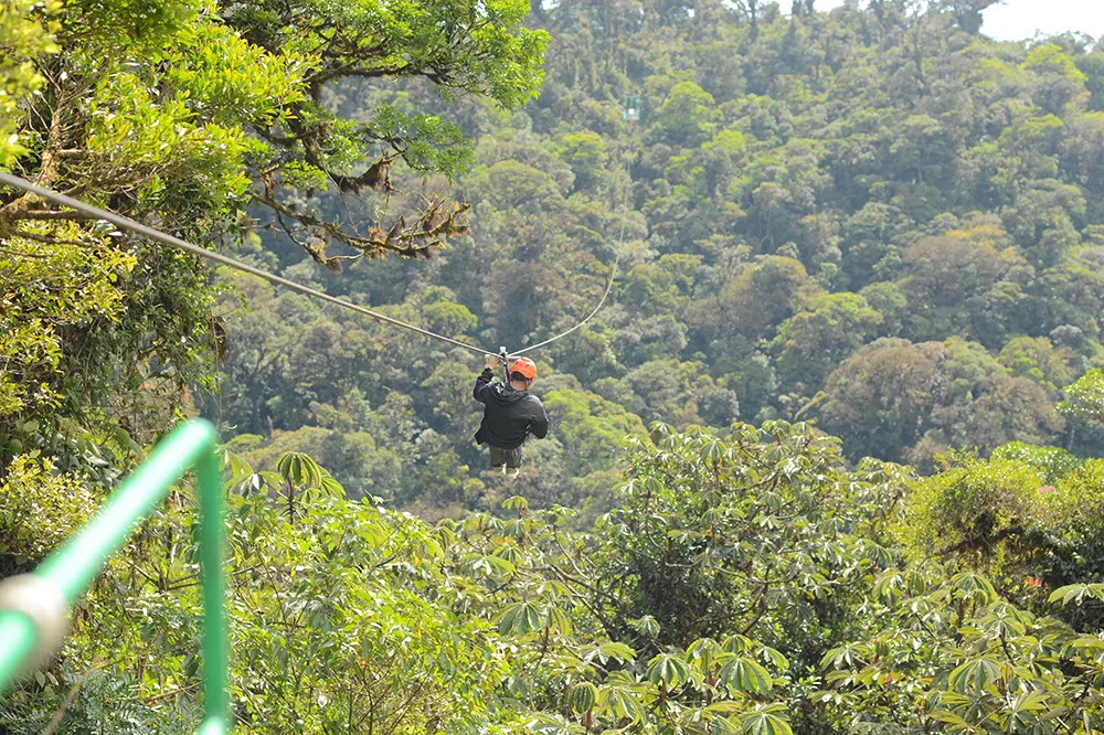 Canopy tour