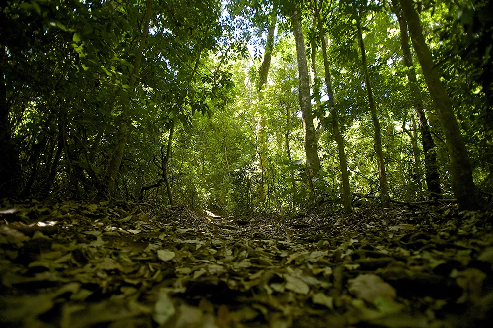 Curi cancha day hike