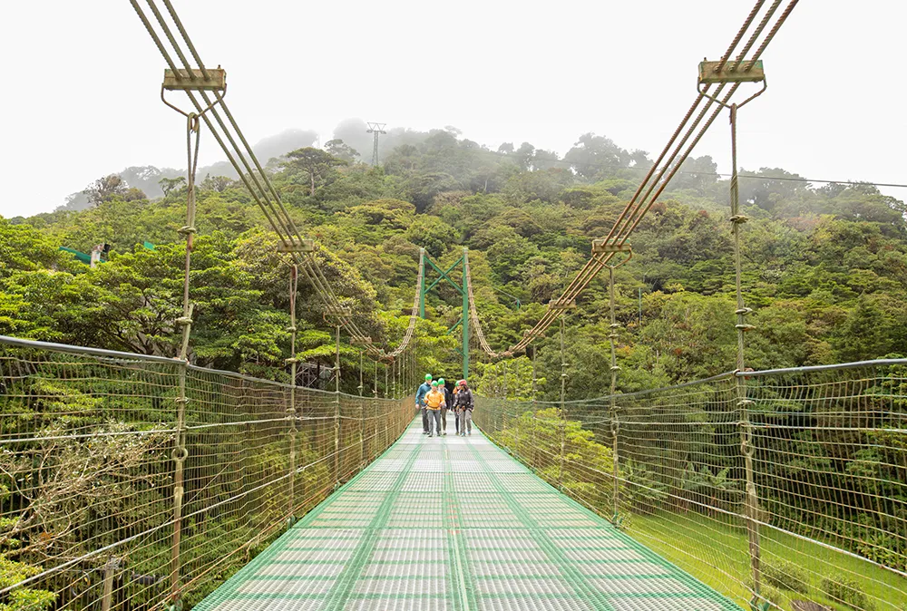 Hanging bridges 3