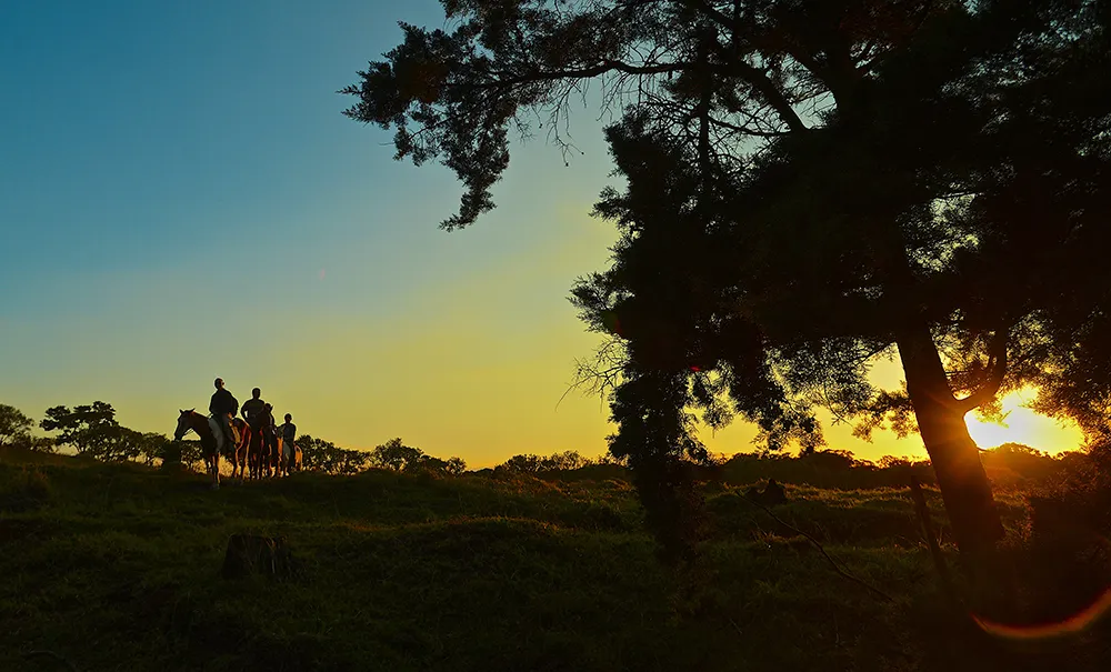 Horseback riding 2