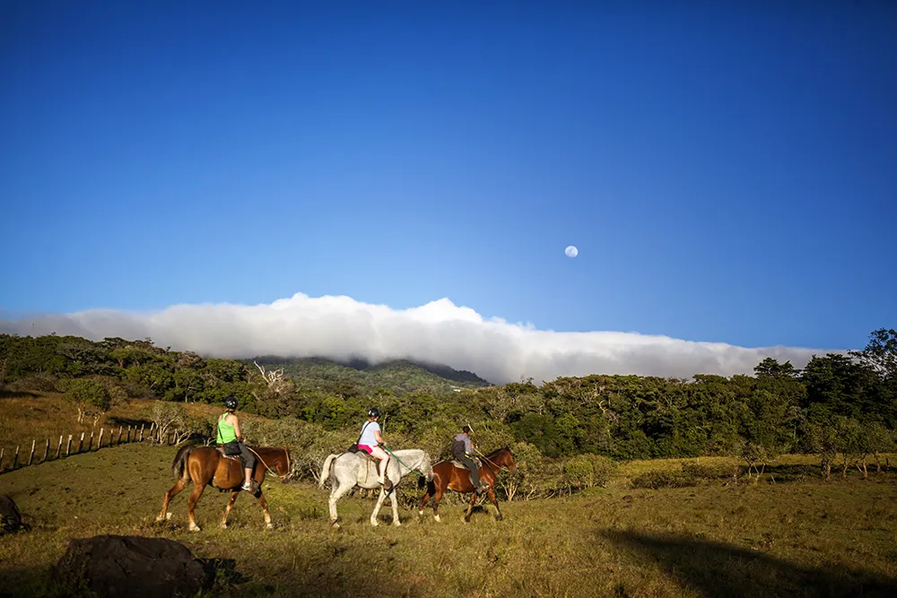 Horseback riding