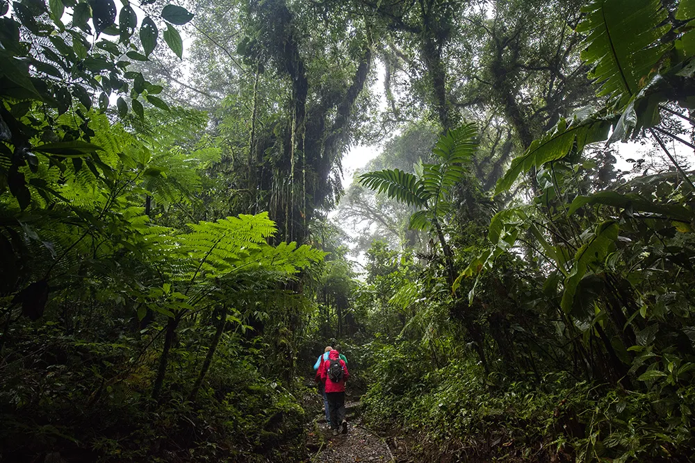 Santa Elena day hike