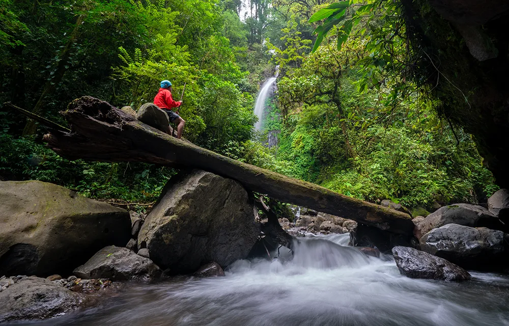 Tigre waterfalls 2