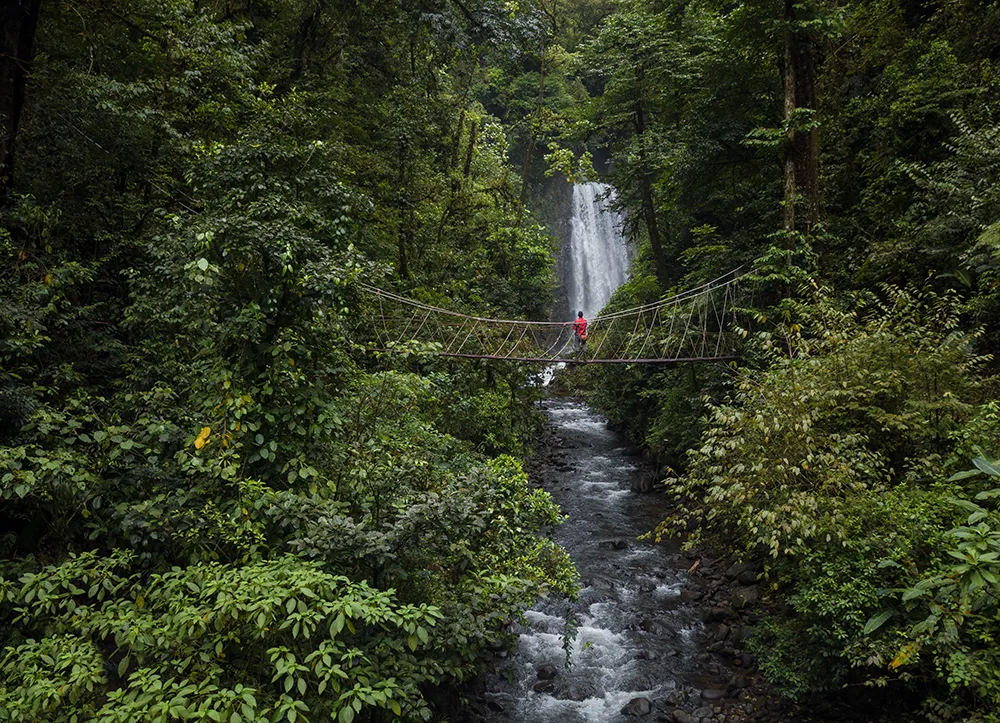 Tigre waterfalls