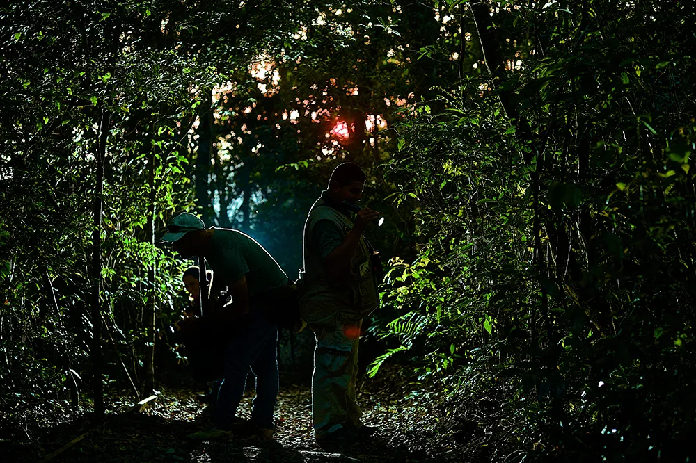 children  eternal night hike