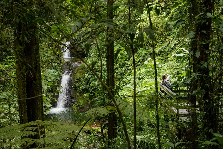 monteverde day hike 3