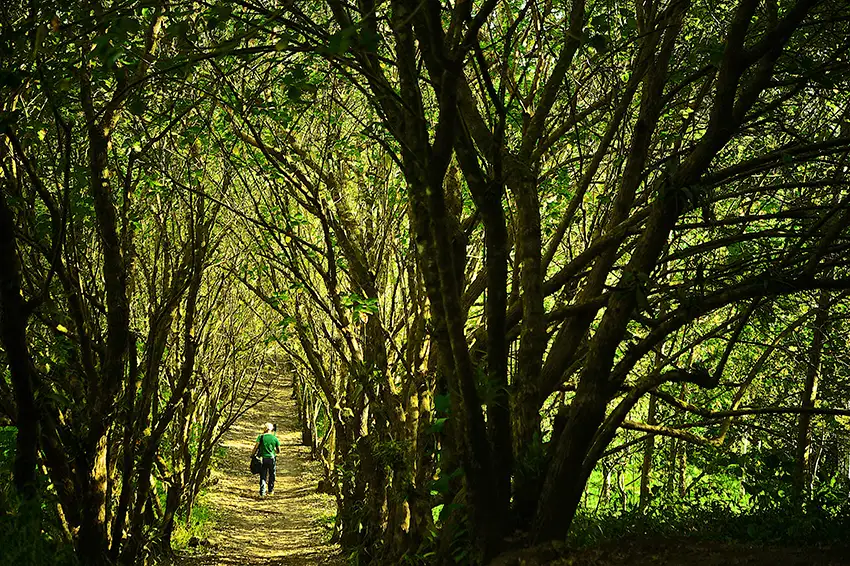 monteverde day hike