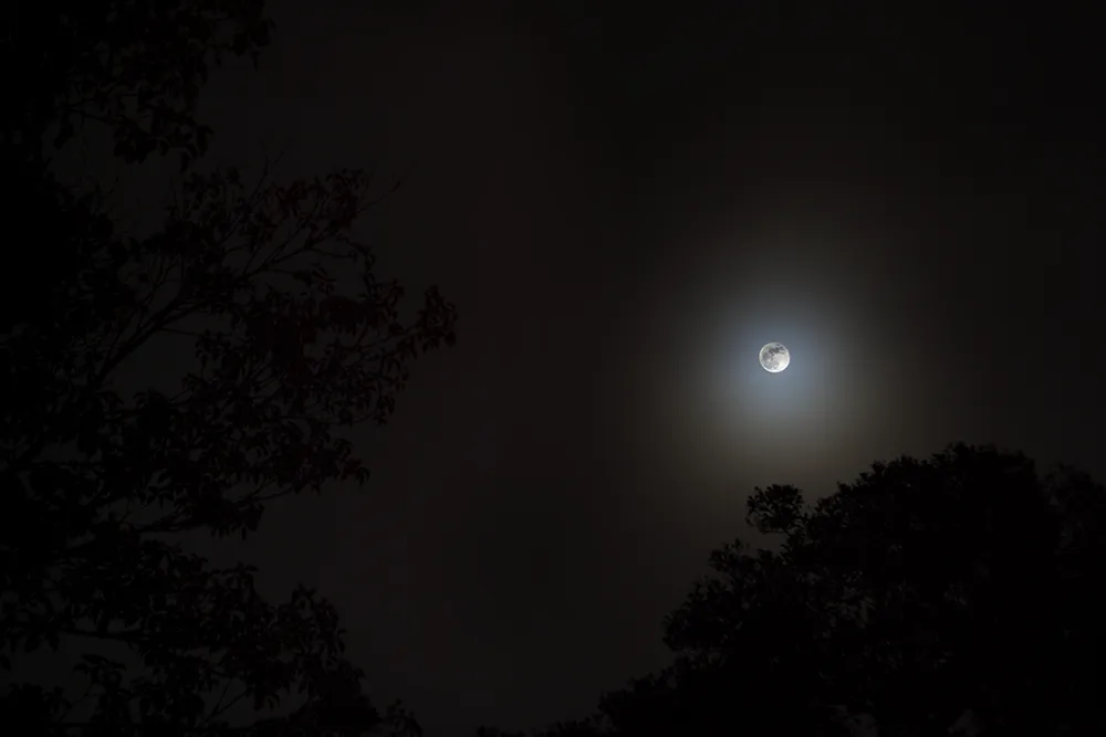 monteverde night hike 3